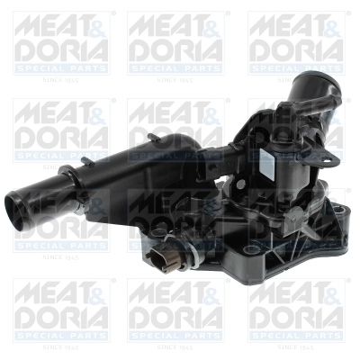 Thermostat, coolant
